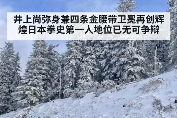 井上尚弥身兼四条金腰带卫冕再创辉煌日本拳史第一人地位已无可争辩